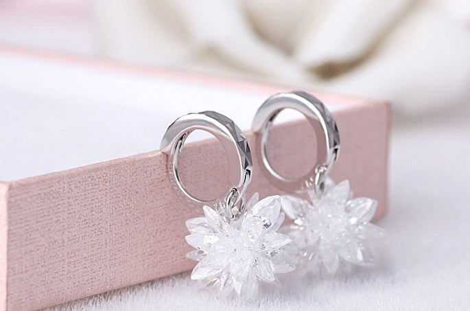 Noxypera 925 Silver Hypoallergenic Earrings