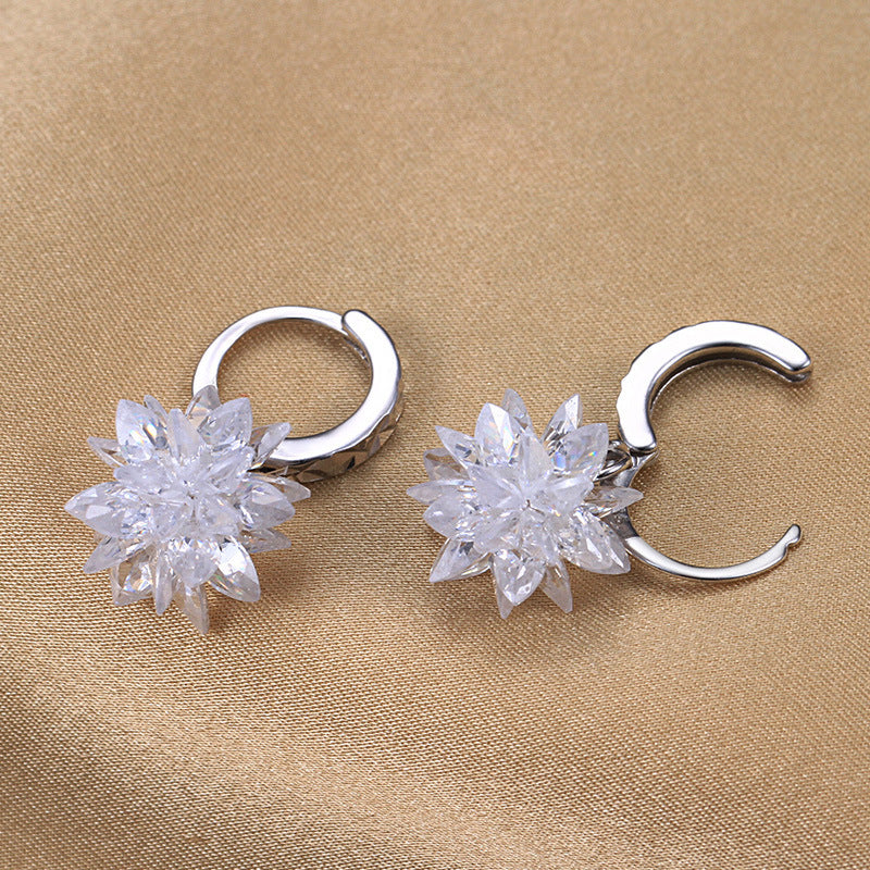 Noxypera 925 Silver Hypoallergenic Earrings