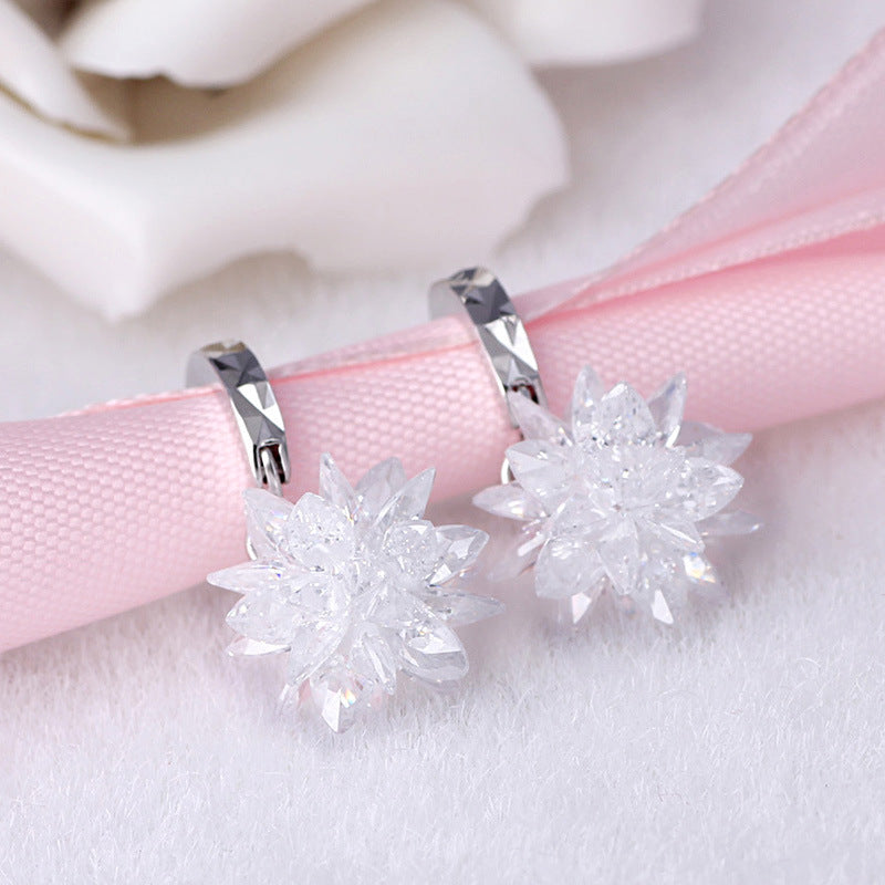 Noxypera 925 Silver Hypoallergenic Earrings