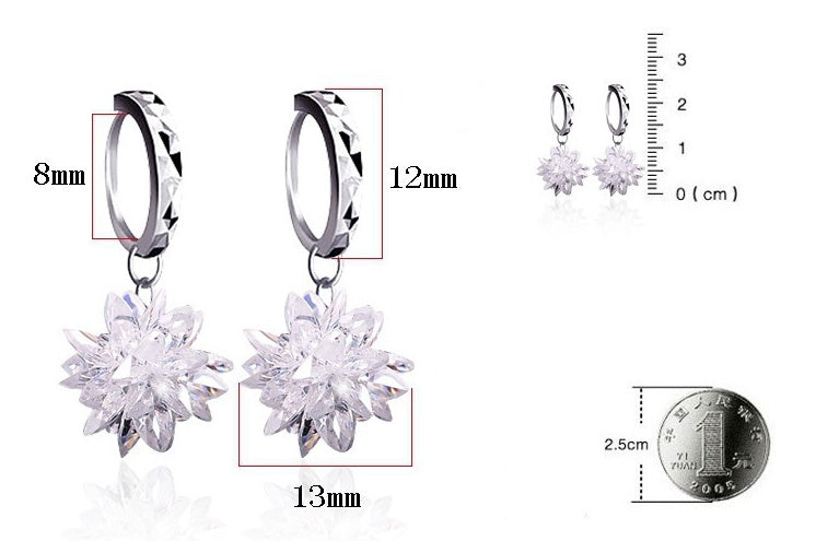 Noxypera 925 Silver Hypoallergenic Earrings