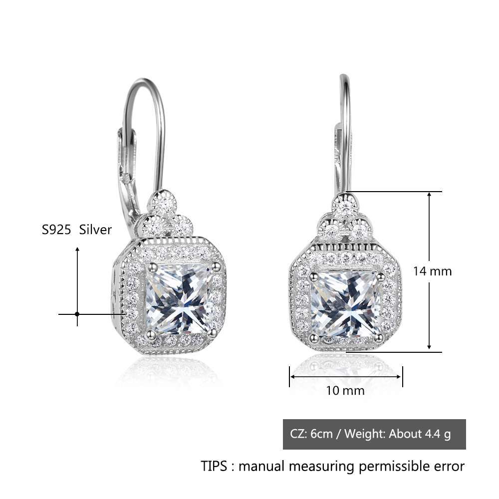 Noxypera S925 Sterling Silver Rhinestone Earrings