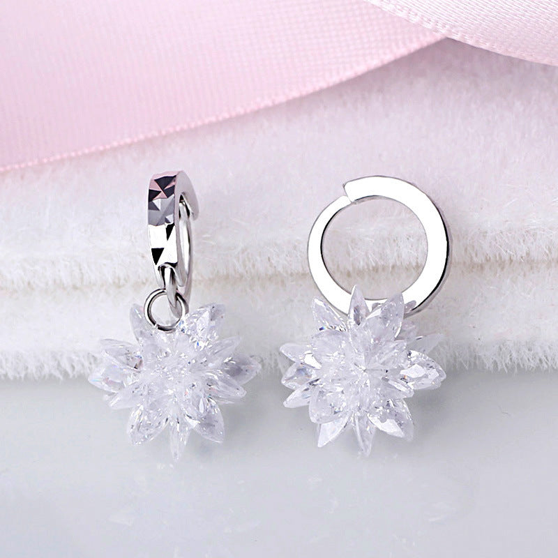 Noxypera 925 Silver Hypoallergenic Earrings