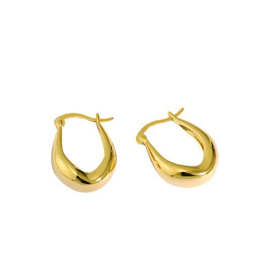 Noxypera S925 Sterling Silver Earrings